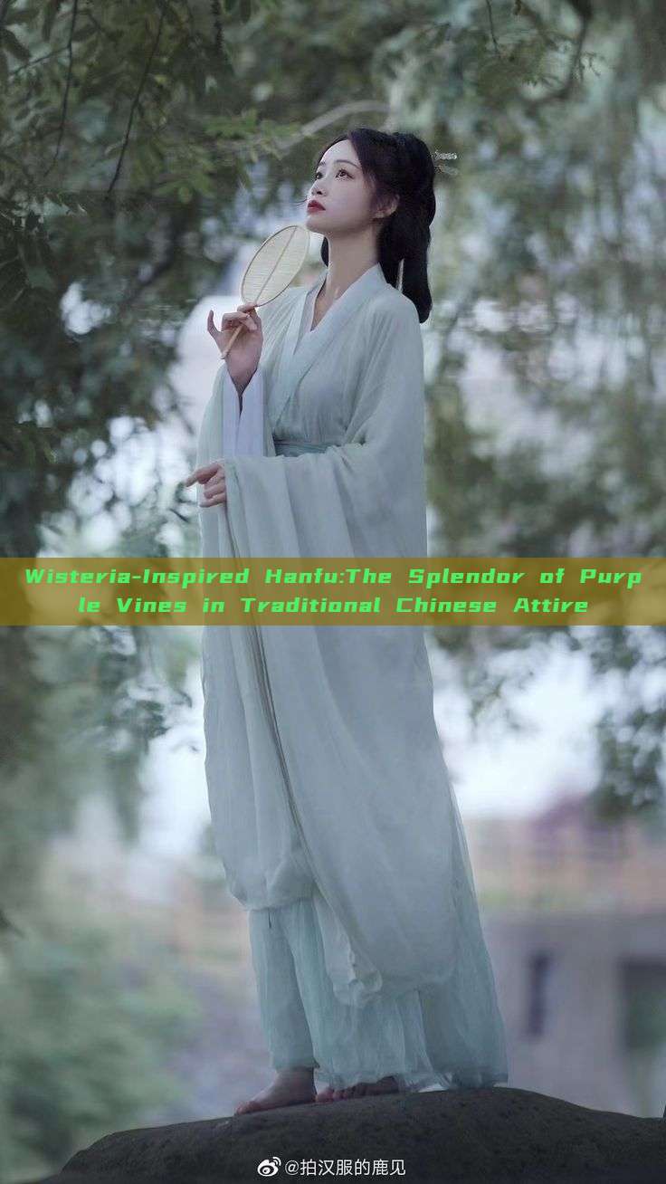 Wisteria-Inspired Hanfu:The Splendor of Purple Vines in Traditional Chinese Attire