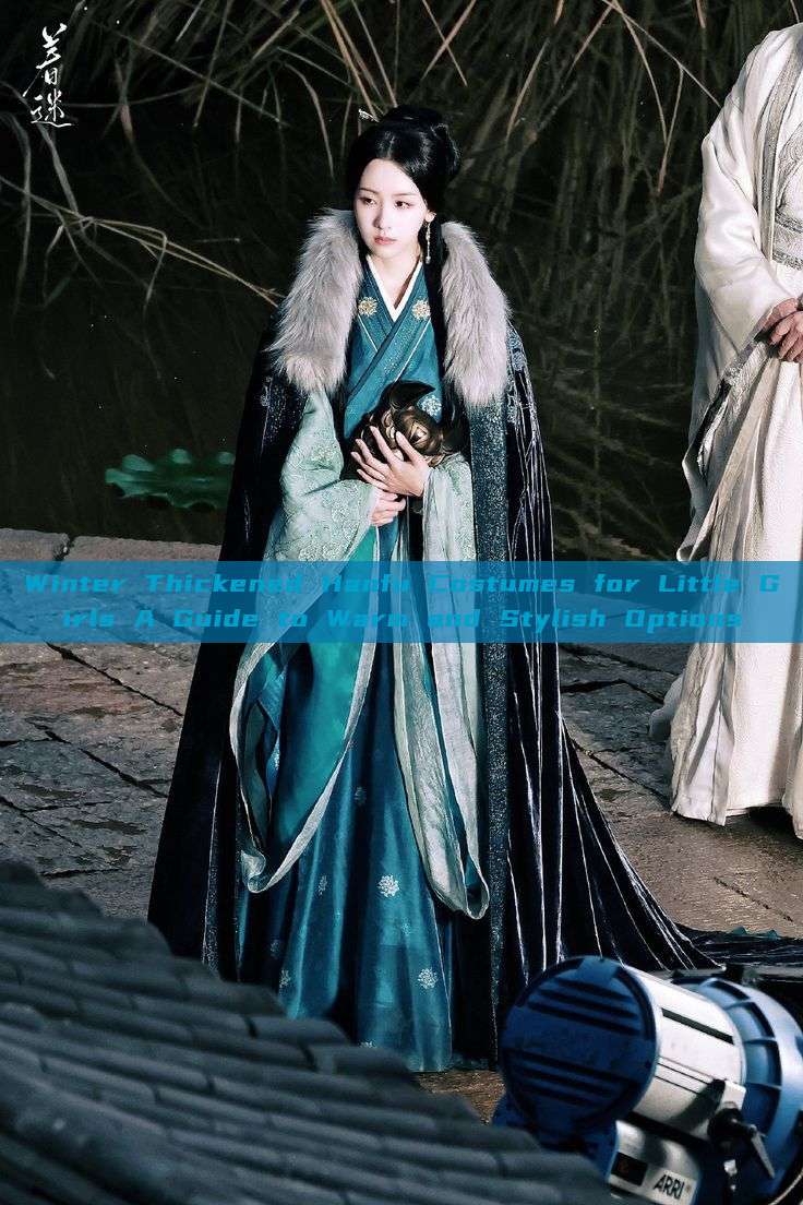 Winter Thickened Hanfu Costumes for Little Girls A Guide to Warm and Stylish Options