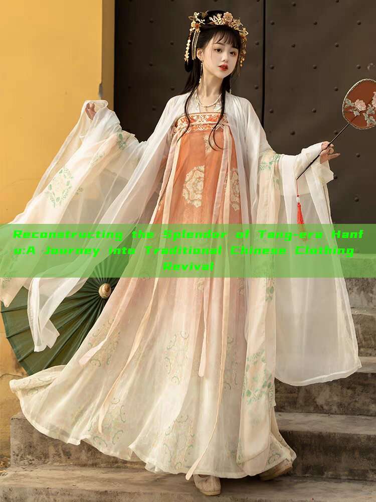 Reconstructing the Splendor of Tang-era Hanfu:A Journey into Traditional Chinese Clothing Revival