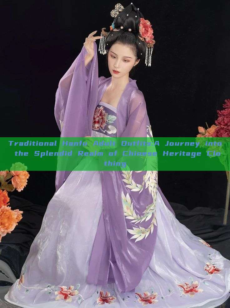 Traditional Hanfu Adult Outfits:A Journey into the Splendid Realm of Chinese Heritage Clothing