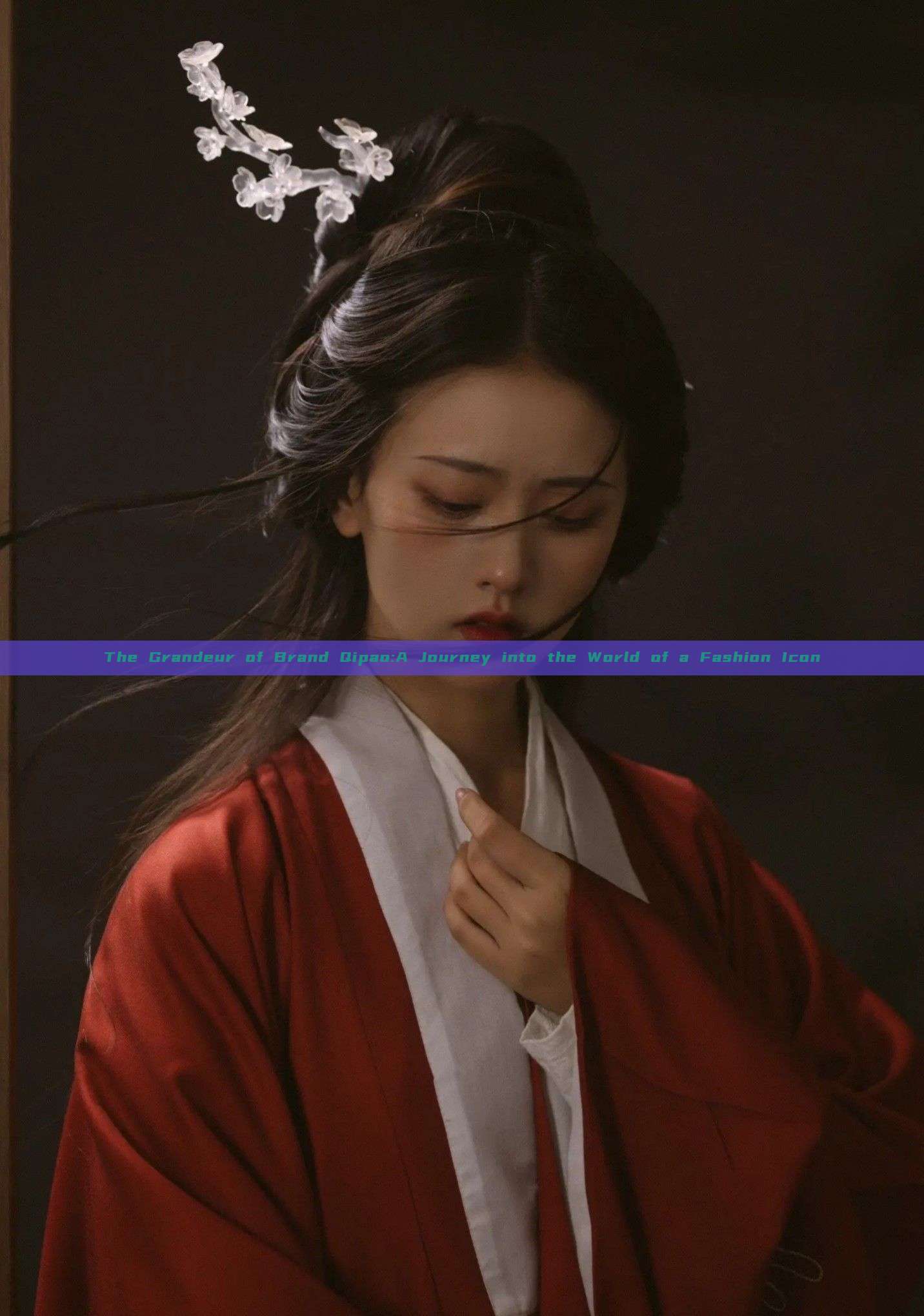 The Grandeur of Brand Qipao:A Journey into the World of a Fashion Icon The Grandeur of Brand Qipao:A Journey into the World of a Fashion Icon