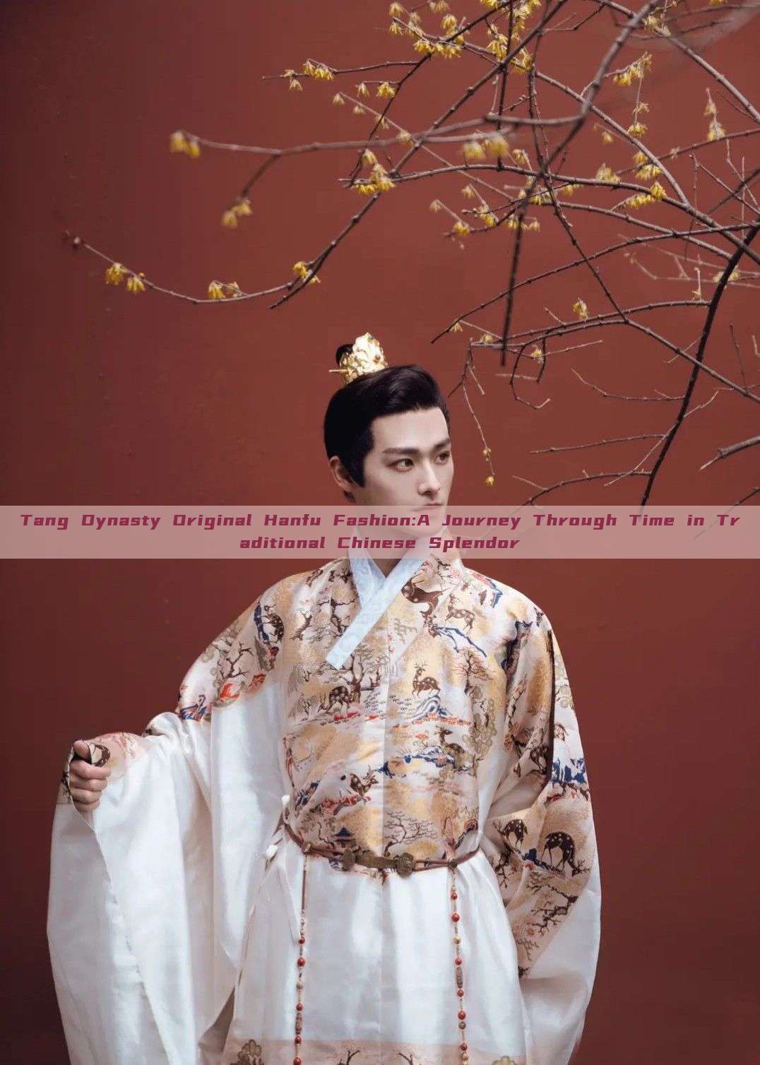 Tang Dynasty Original Hanfu Fashion:A Journey Through Time in Traditional Chinese Splendor