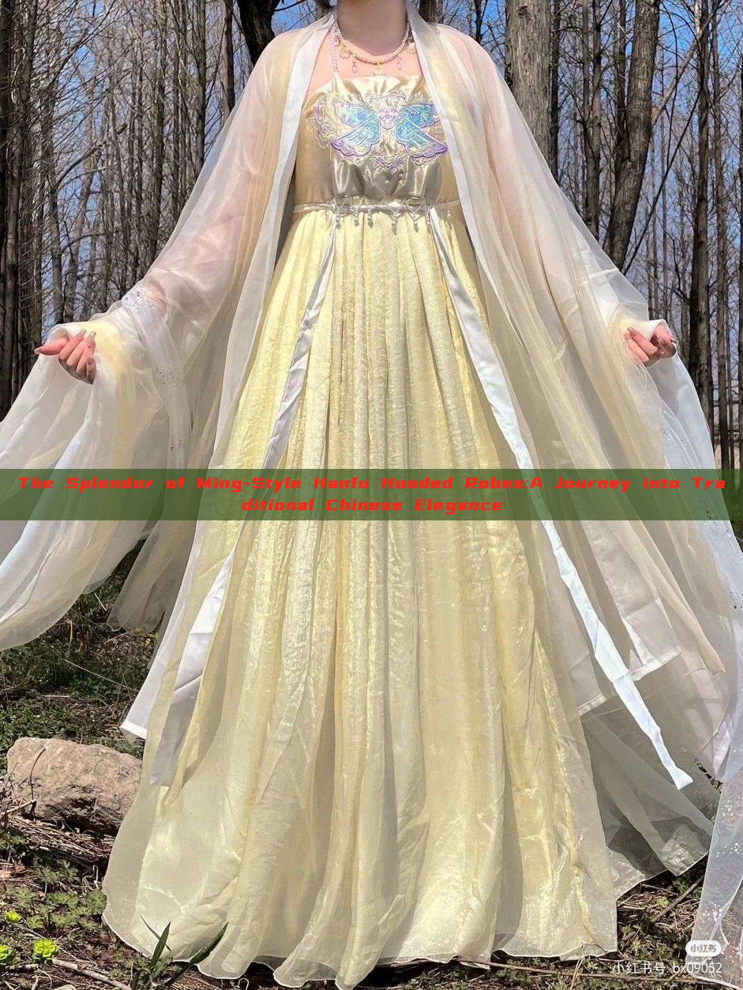 The Splendor of Ming-Style Hanfu Hooded Robes:A Journey into Traditional Chinese Elegance The Splendor of Ming-Style Hanfu Hooded Robes:A Journey into Traditional Chinese Elegance