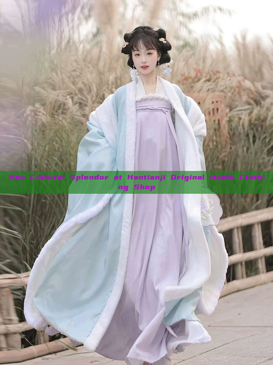 Han Cultural Splendor at Hantianji Original Hanfu Clothing Shop Han Cultural Splendor at Hantianji Original Hanfu Clothing Shop