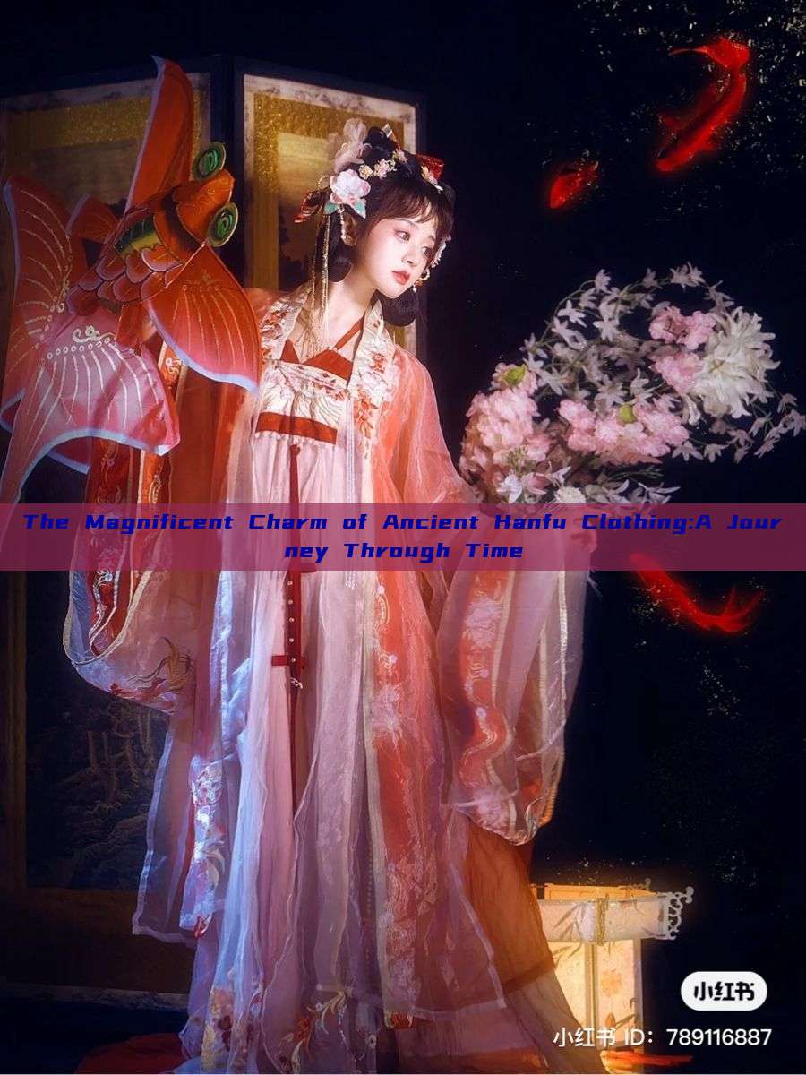 The Magnificent Charm of Ancient Hanfu Clothing:A Journey Through Time The Magnificent Charm of Ancient Hanfu Clothing:A Journey Through Time