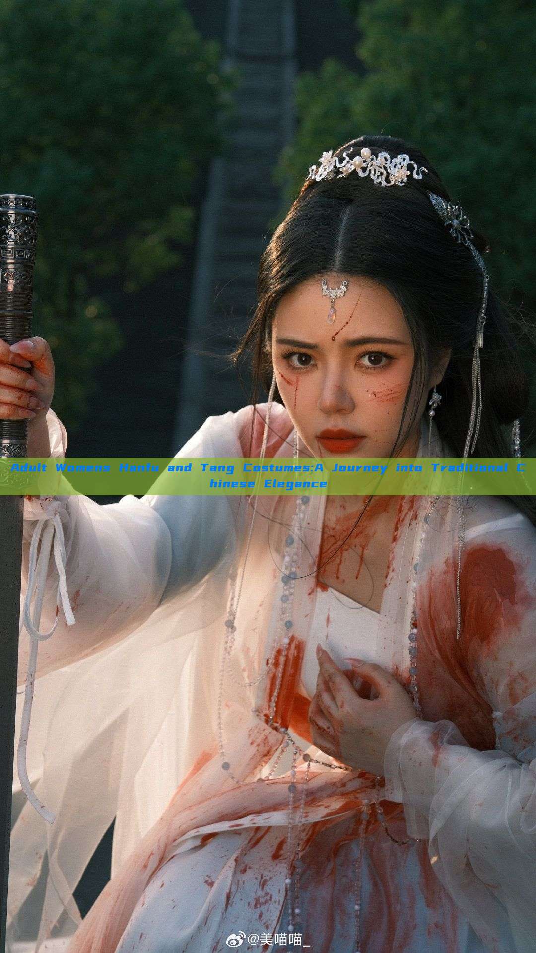 Adult Womens Hanfu and Tang Costumes:A Journey into Traditional Chinese Elegance