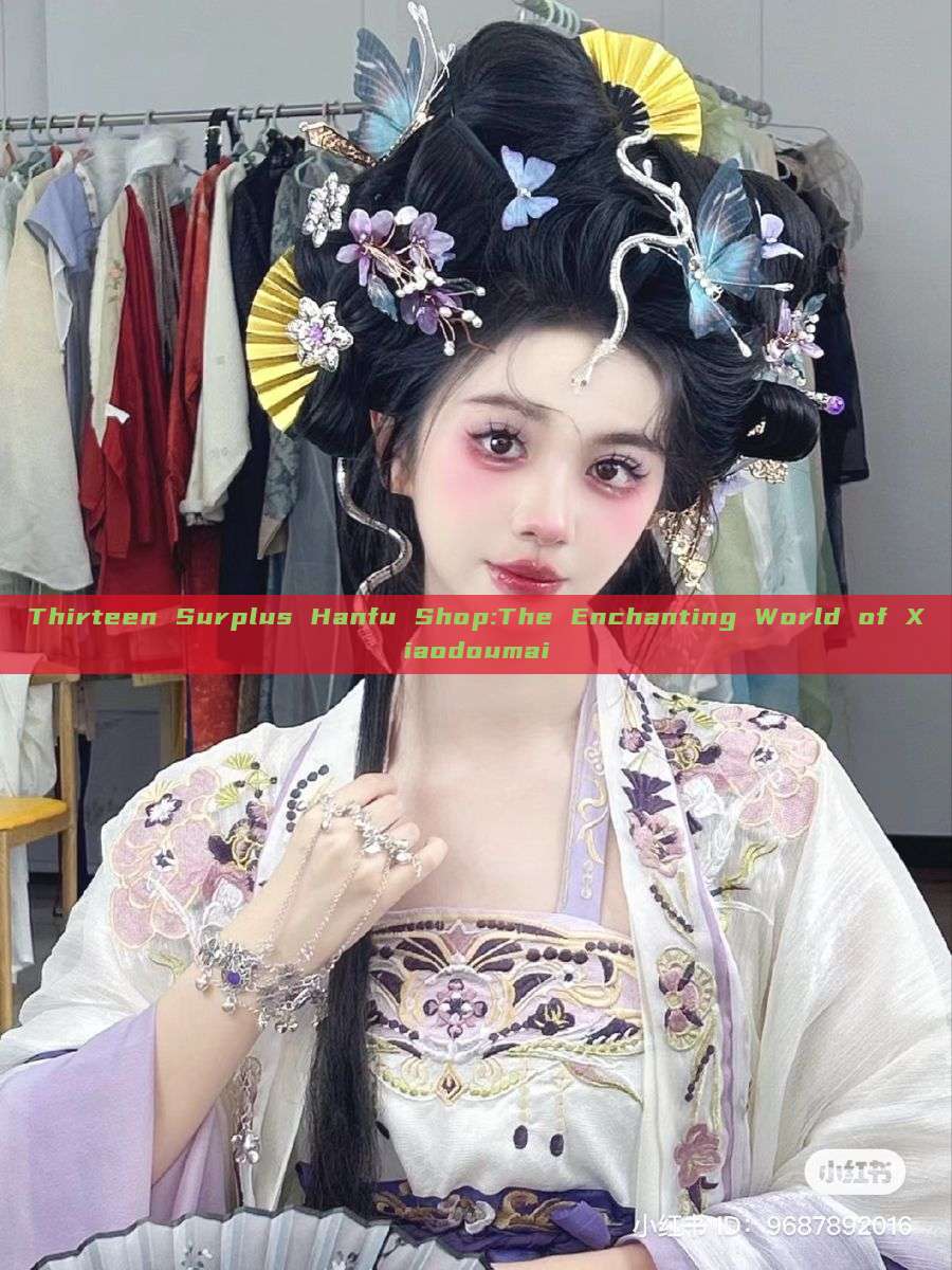 Thirteen Surplus Hanfu Shop:The Enchanting World of Xiaodoumai Thirteen Surplus Hanfu Shop:The Enchanting World of Xiaodoumai