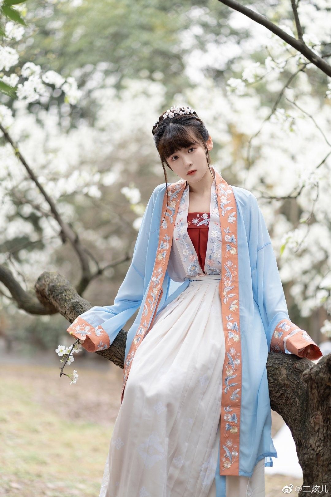 The Bridal Hair Crown of Hanfu:Exploring the Elegance of Traditional Chinese Wedding Attire The Bridal Hair Crown of Hanfu:Exploring the Elegance of Traditional Chinese Wedding Attire