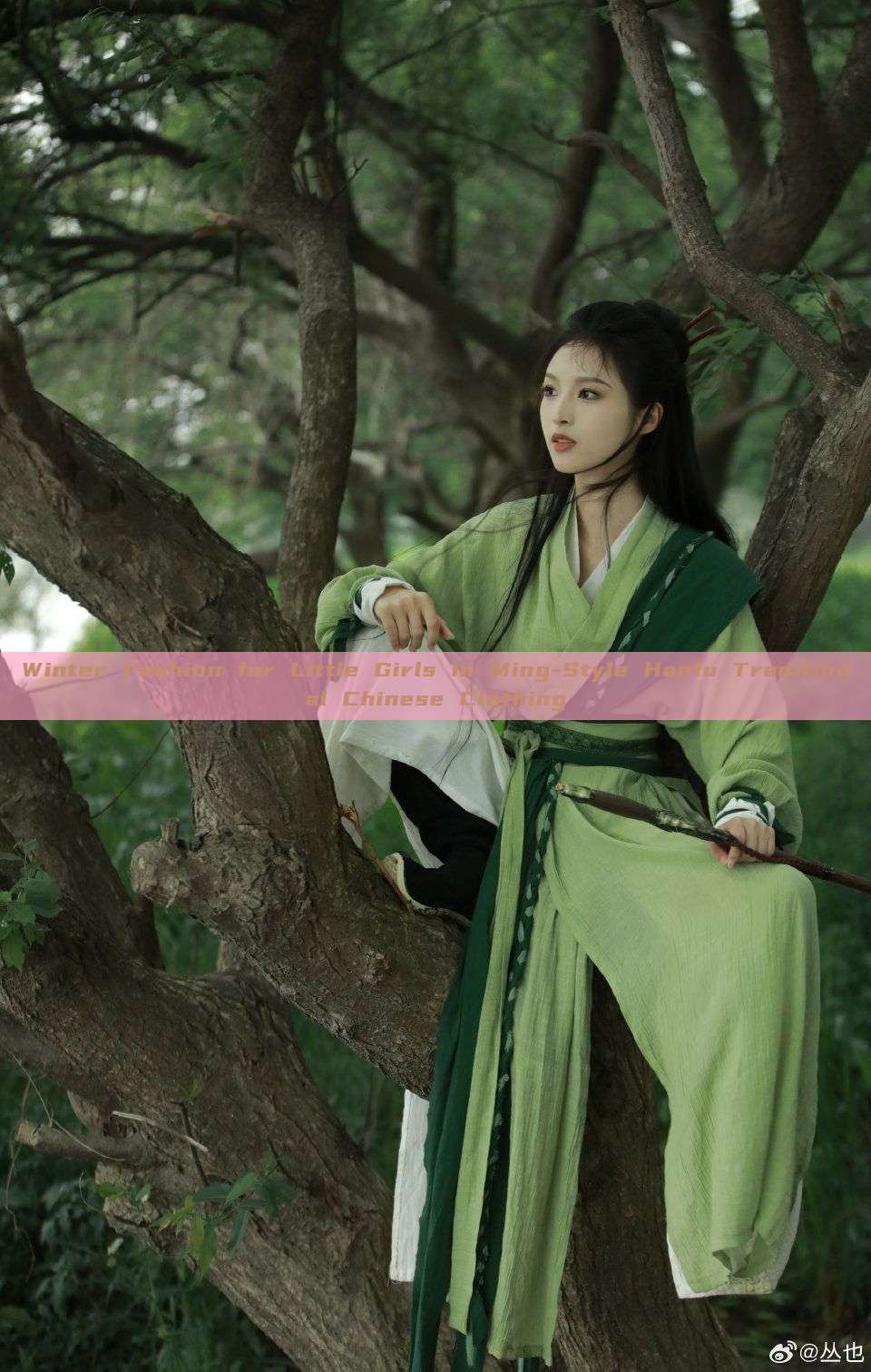 Winter Fashion for Little Girls in Ming-Style Hanfu Traditional Chinese Clothing Winter Fashion for Little Girls in Ming-Style Hanfu Traditional Chinese Clothing