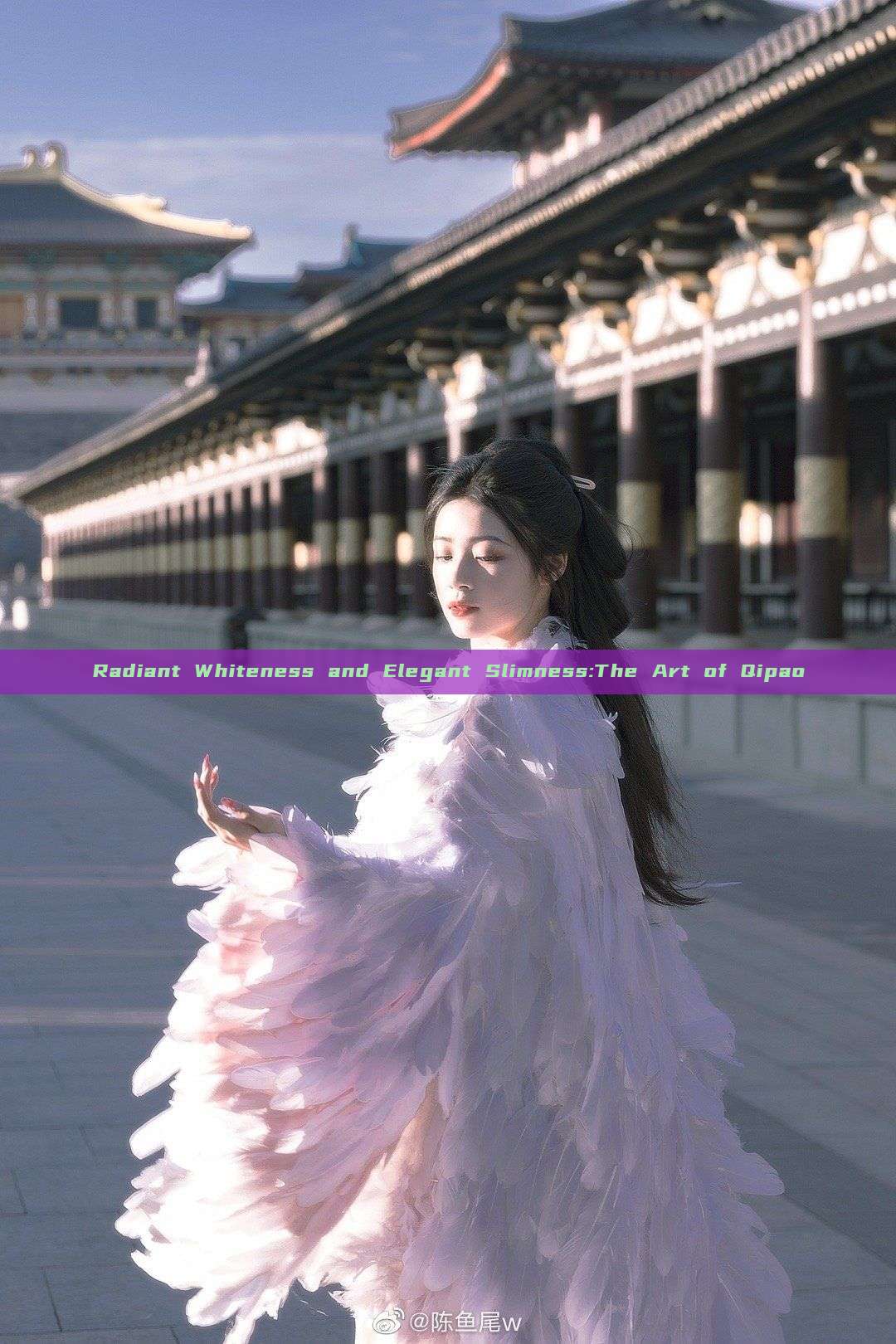 Radiant Whiteness and Elegant Slimness:The Art of Qipao
