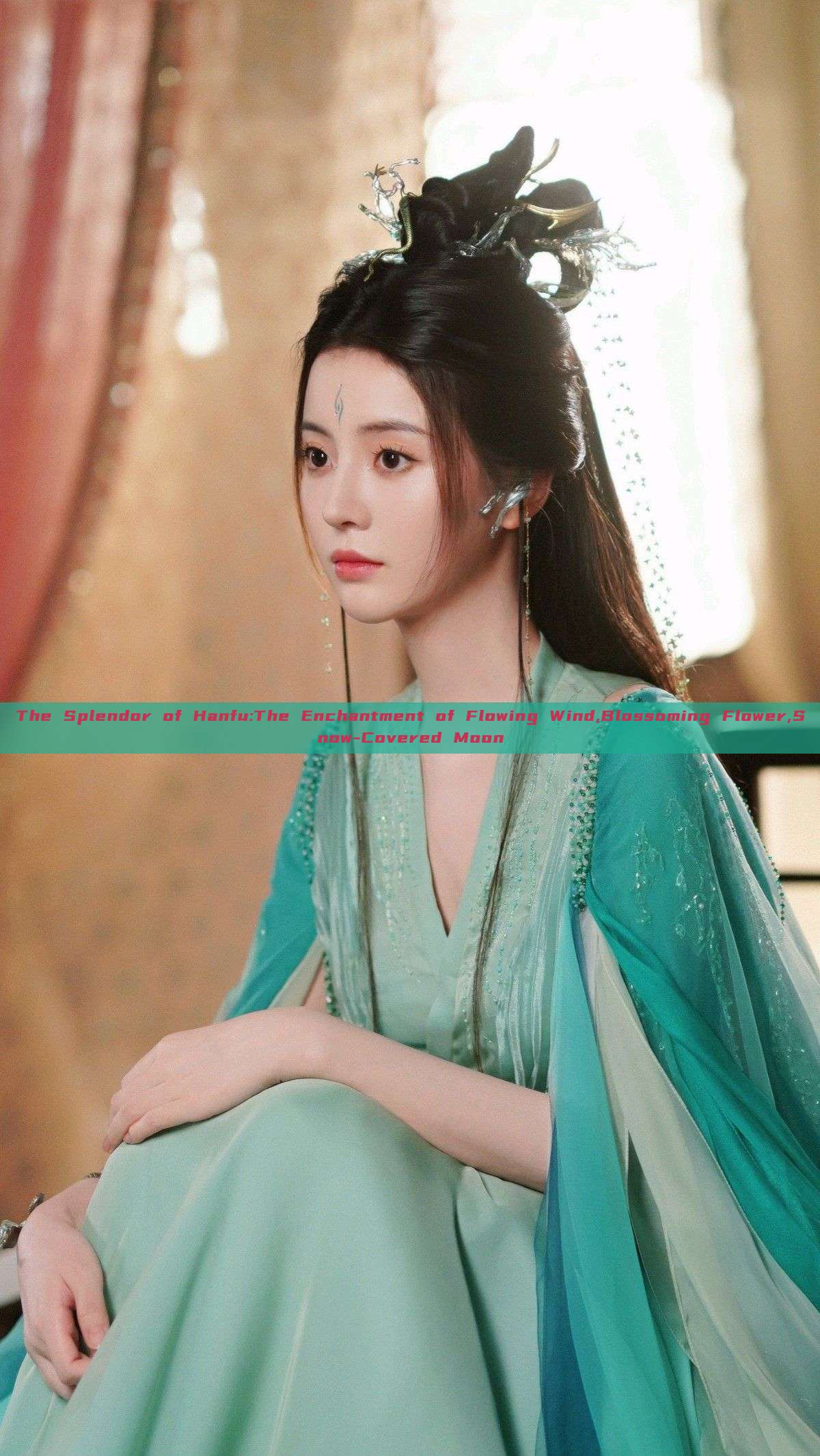The Splendor of Hanfu:The Enchantment of Flowing Wind,Blossoming Flower,Snow-Covered Moon The Splendor of Hanfu:The Enchantment of Flowing Wind,Blossoming Flower,Snow-Covered Moon