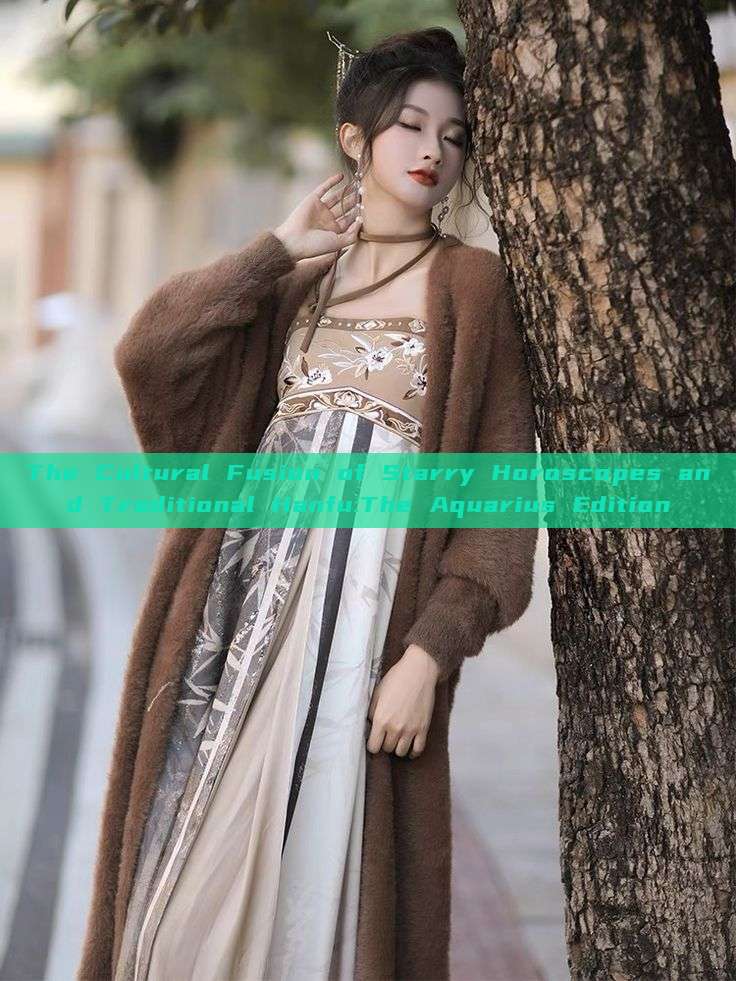 The Cultural Fusion of Starry Horoscopes and Traditional Hanfu:The Aquarius Edition