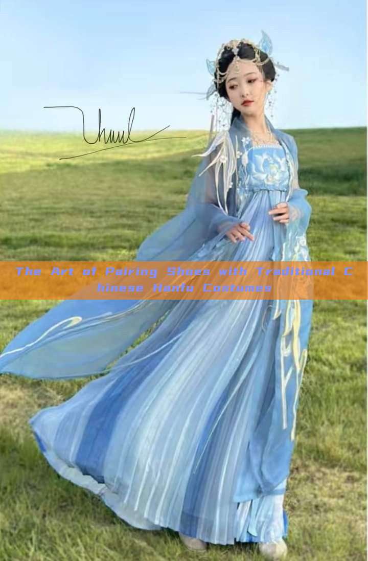 The Art of Pairing Shoes with Traditional Chinese Hanfu Costumes