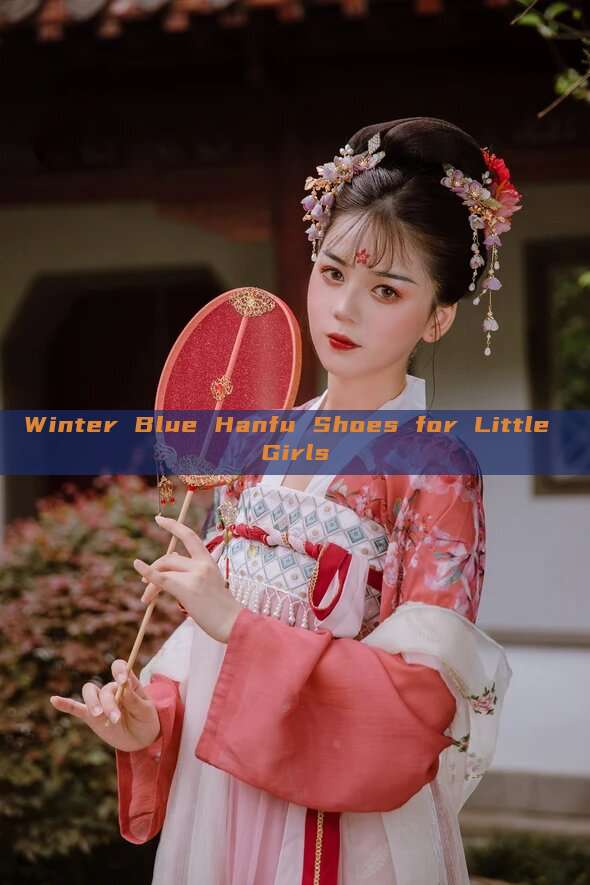 Winter Blue Hanfu Shoes for Little Girls