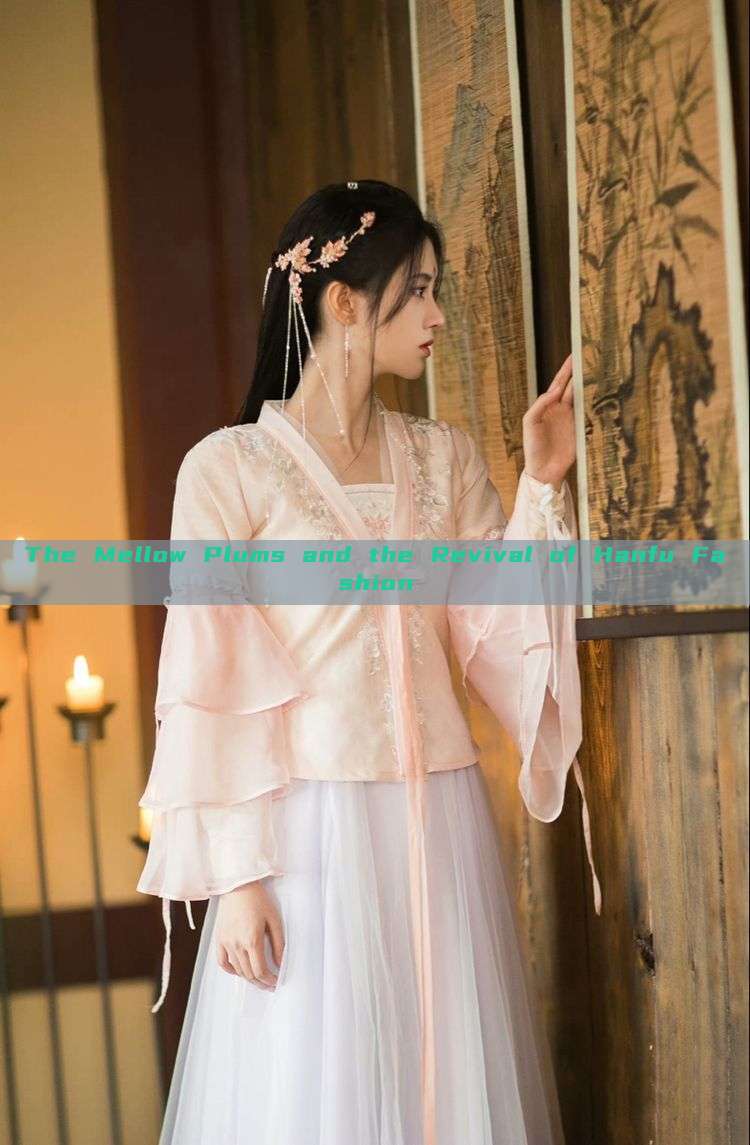 The Mellow Plums and the Revival of Hanfu Fashion