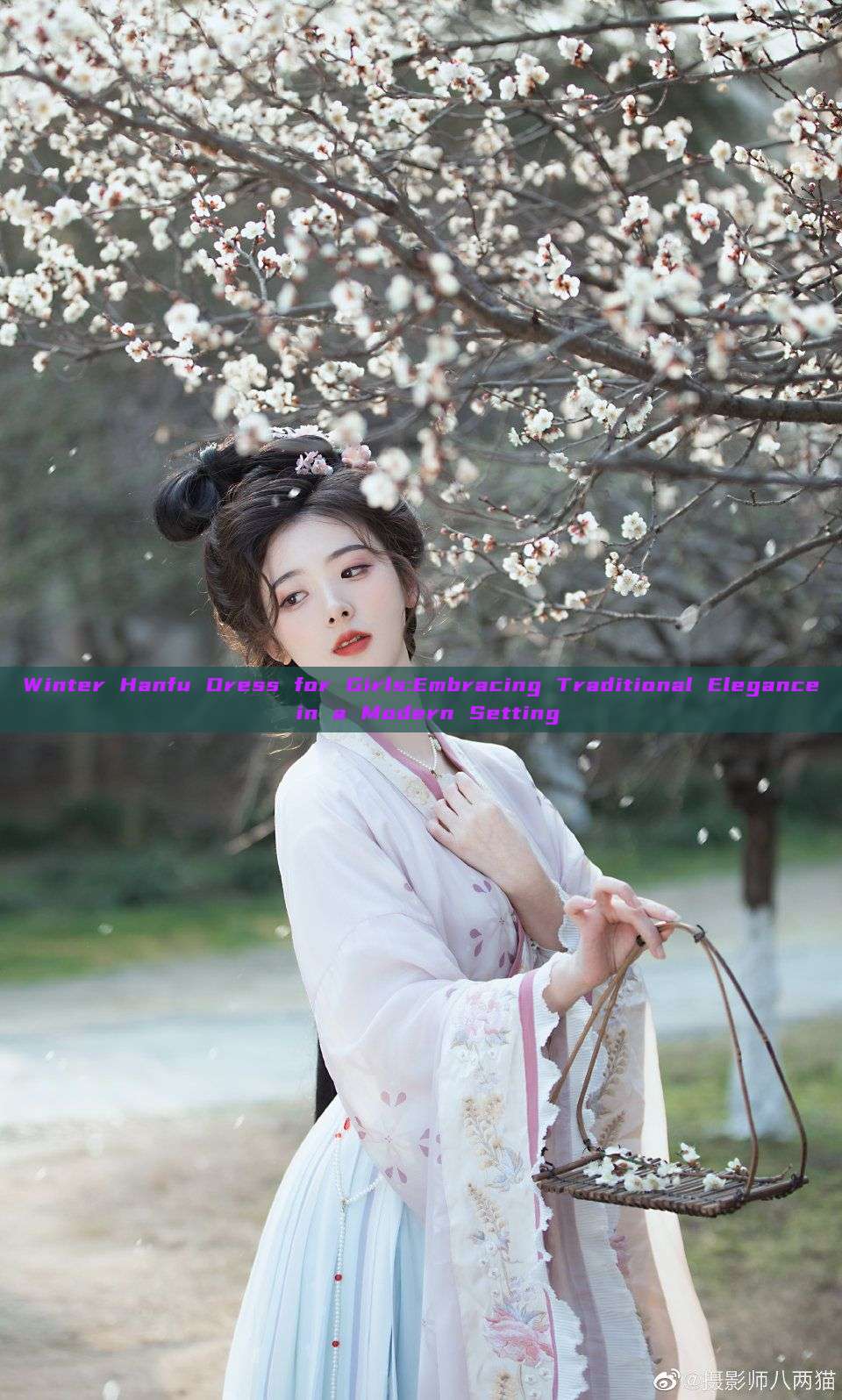Winter Hanfu Dress for Girls:Embracing Traditional Elegance in a Modern Setting Winter Hanfu Dress for Girls:Embracing Traditional Elegance in a Modern Setting