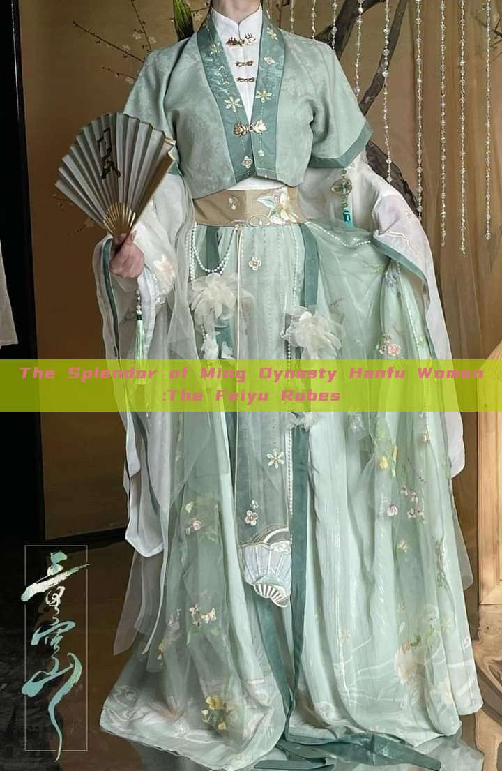 The Splendor of Ming Dynasty Hanfu Women:The Feiyu Robes