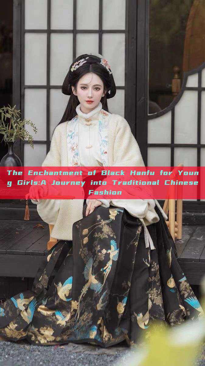 The Enchantment of Black Hanfu for Young Girls:A Journey into Traditional Chinese Fashion The Enchantment of Black Hanfu for Young Girls:A Journey into Traditional Chinese Fashion