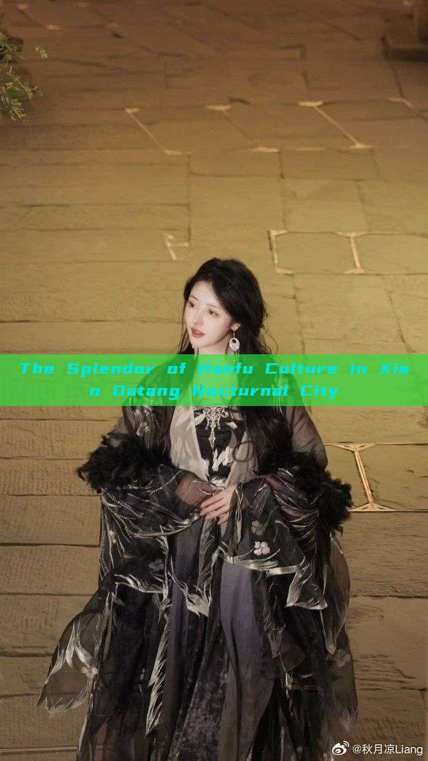 The Splendor of Hanfu Culture in Xian Datang Nocturnal City The Splendor of Hanfu Culture in Xian Datang Nocturnal City