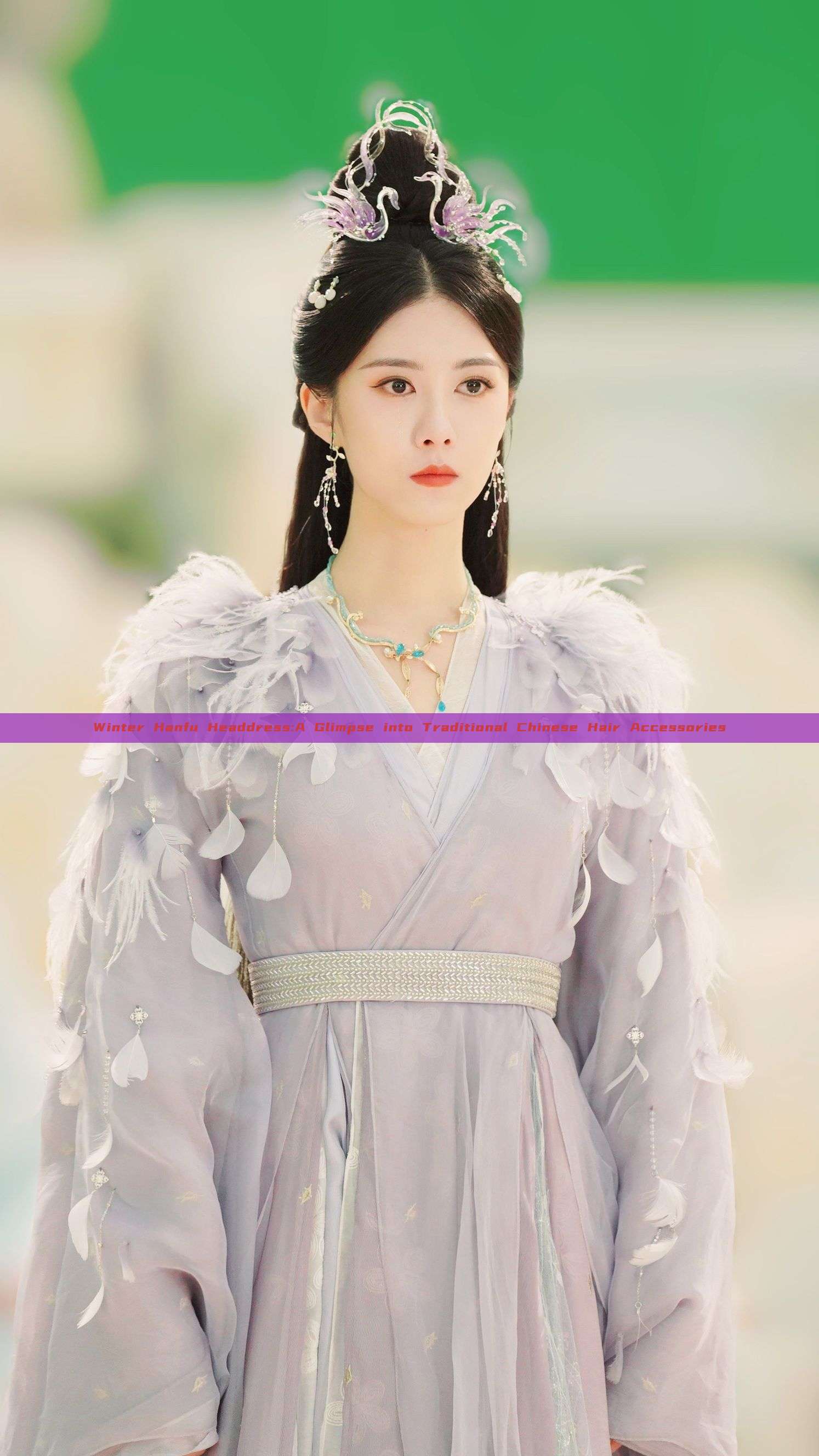 Winter Hanfu Headdress:A Glimpse into Traditional Chinese Hair Accessories