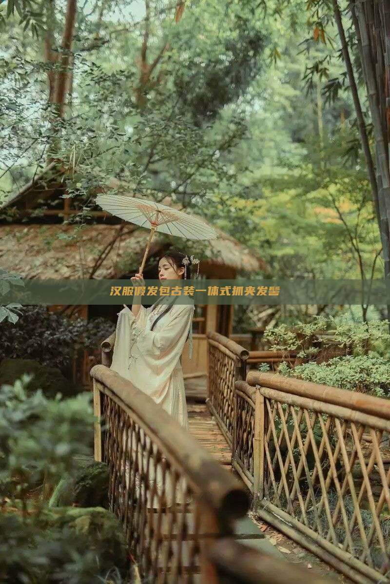 汉服假发包古装一体式抓夹发髻 汉服假发包古装一体式抓夹发髻