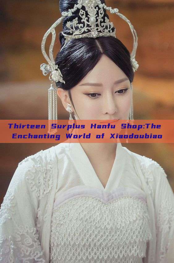 Thirteen Surplus Hanfu Shop:The Enchanting World of Xiaodoubiao