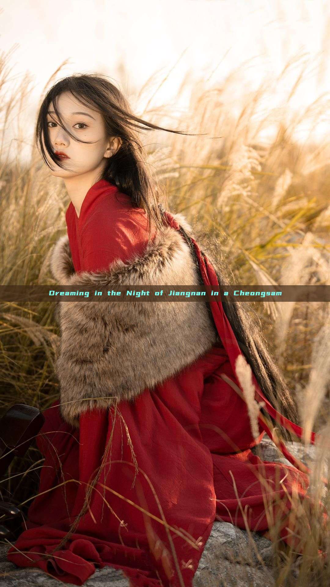 Dreaming in the Night of Jiangnan in a Cheongsam