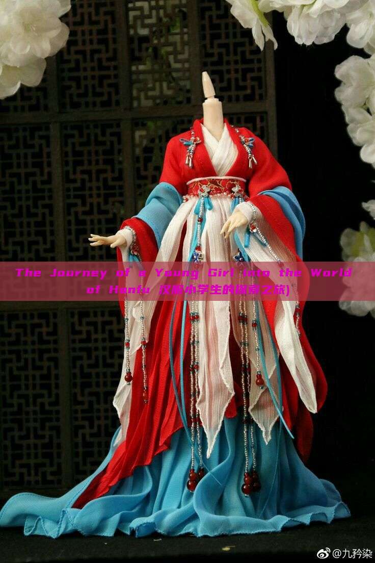 The Journey of a Young Girl into the World of Hanfu 汉服小学生的探索之旅)