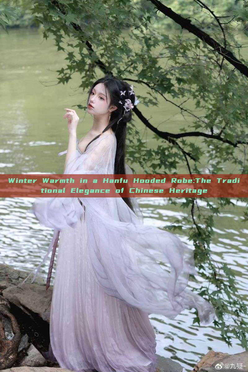 Winter Warmth in a Hanfu Hooded Robe:The Traditional Elegance of Chinese Heritage