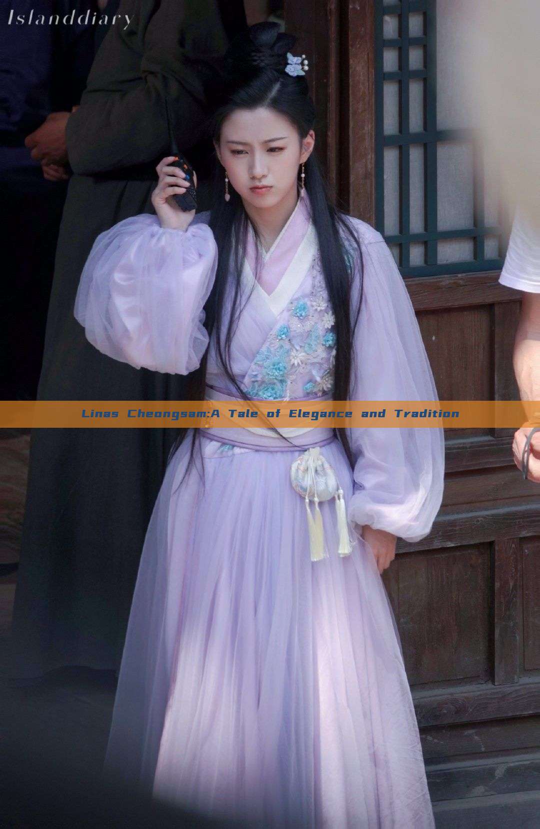 Linas Cheongsam:A Tale of Elegance and Tradition