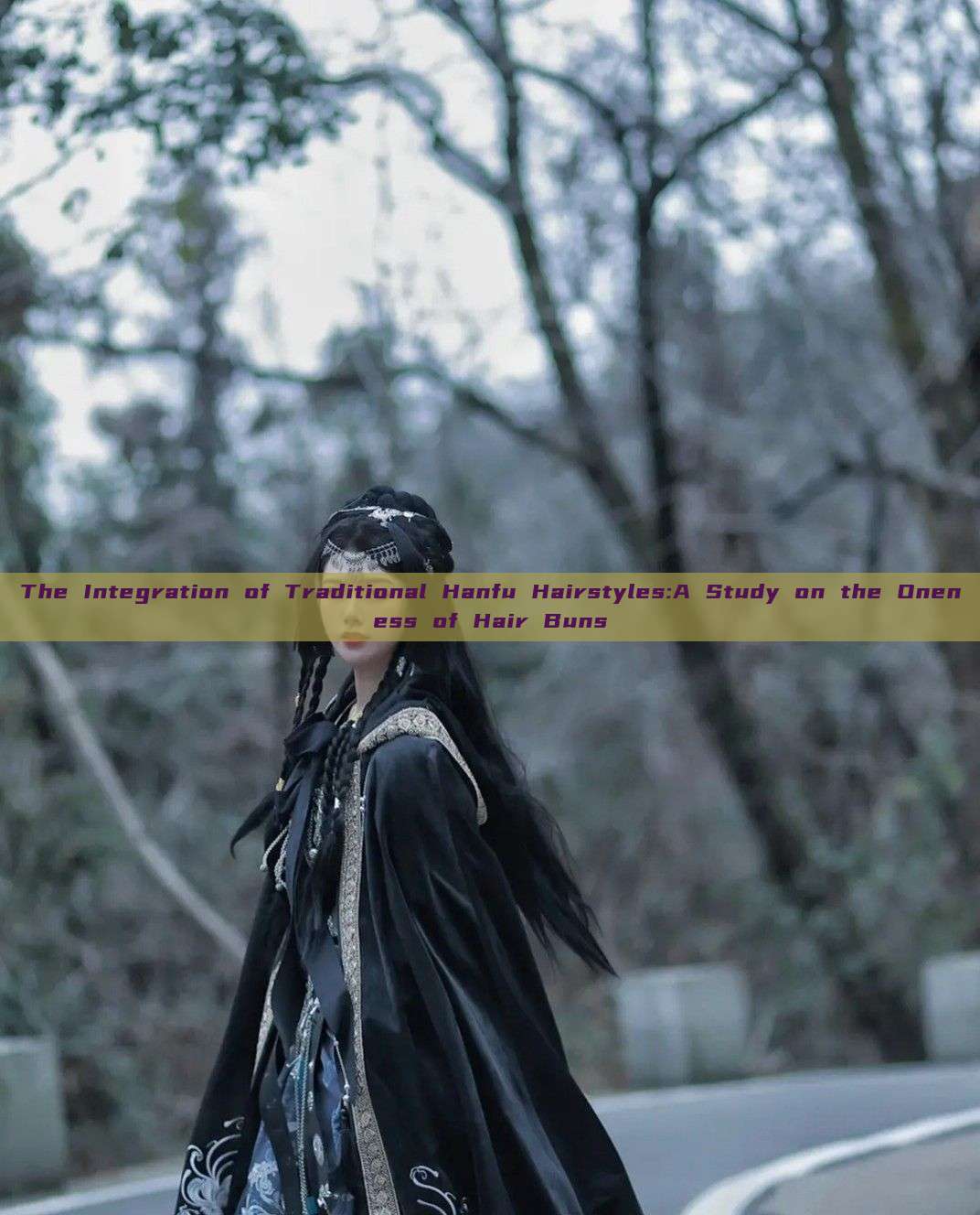 The Integration of Traditional Hanfu Hairstyles:A Study on the Oneness of Hair Buns
