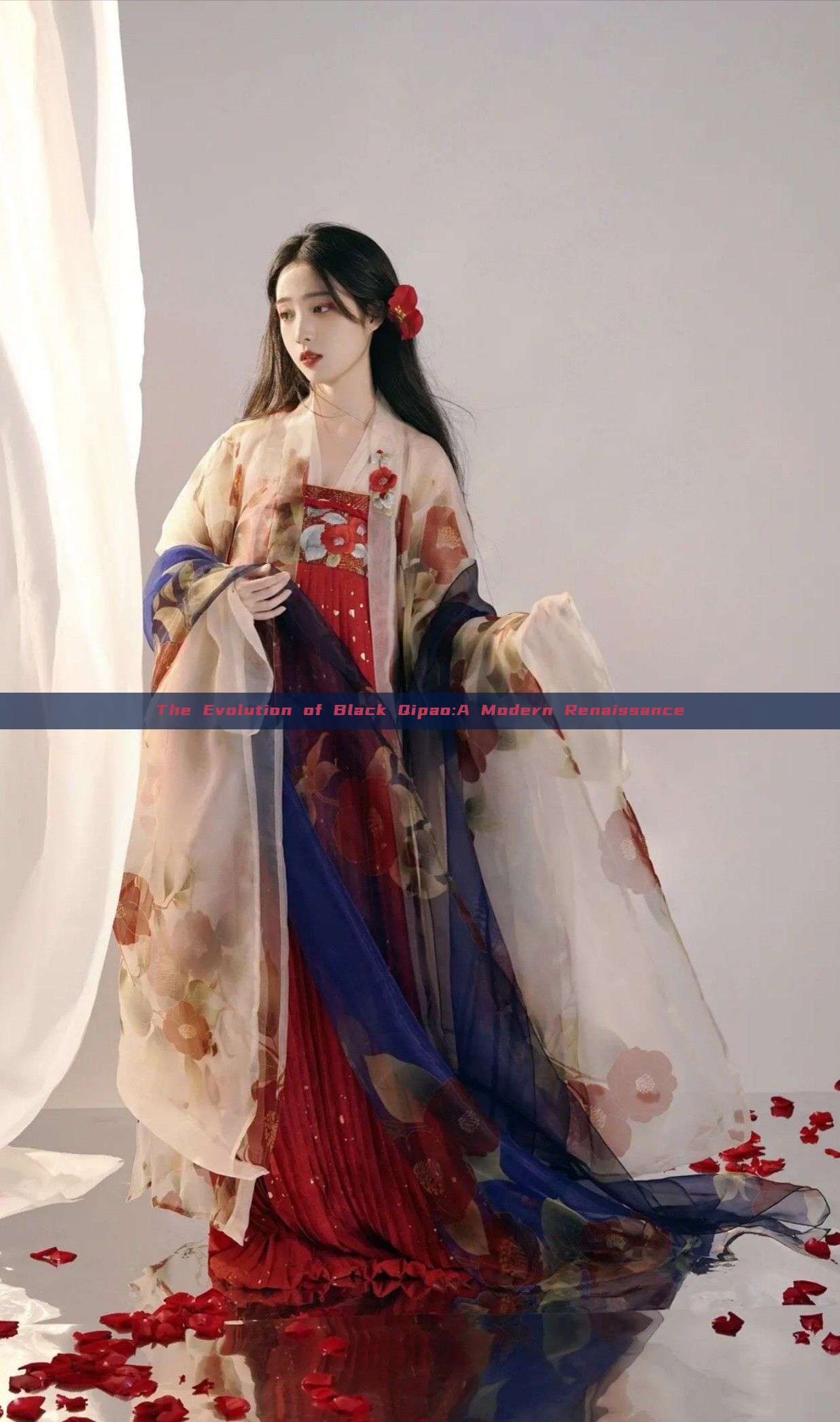 The Evolution of Black Qipao:A Modern Renaissance The Evolution of Black Qipao:A Modern Renaissance