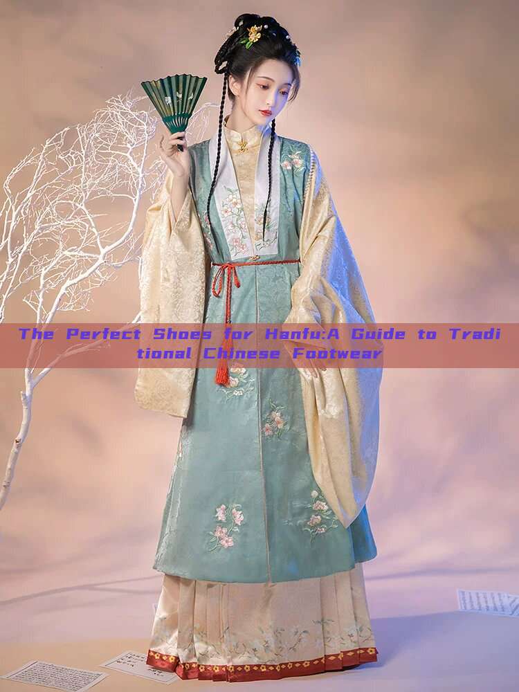 The Perfect Shoes for Hanfu:A Guide to Traditional Chinese Footwear