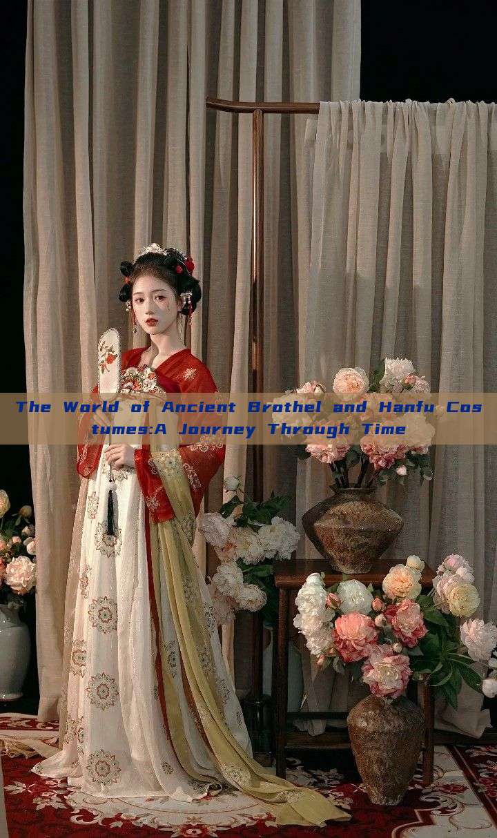 The World of Ancient Brothel and Hanfu Costumes:A Journey Through Time