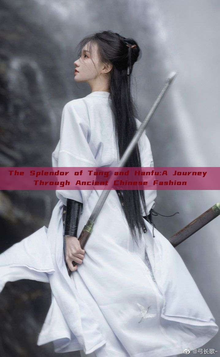 The Splendor of Tang and Hanfu:A Journey Through Ancient Chinese Fashion The Splendor of Tang and Hanfu:A Journey Through Ancient Chinese Fashion