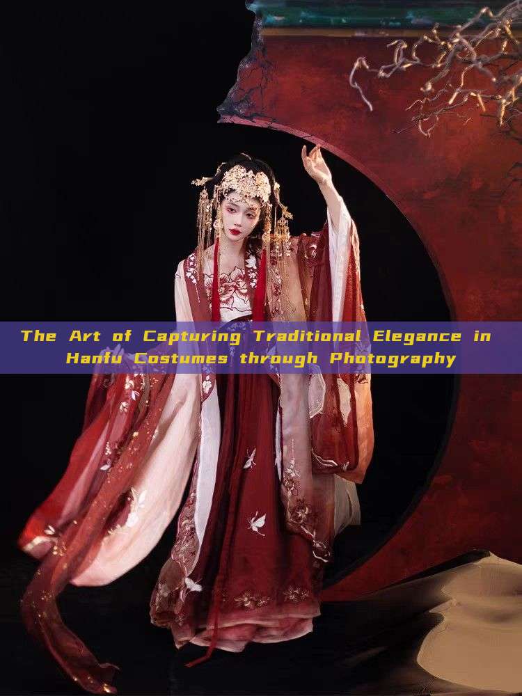 The Art of Capturing Traditional Elegance in Hanfu Costumes through Photography The Art of Capturing Traditional Elegance in Hanfu Costumes through Photography