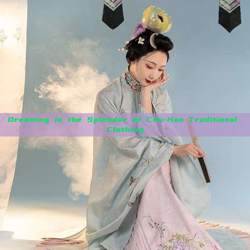 Dreaming in the Splendor of Chu-Han Traditional Clothing Dreaming in the Splendor of Chu-Han Traditional Clothing