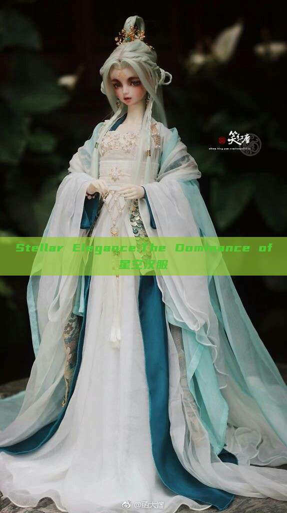 Stellar Elegance:The Dominance of星空汉服