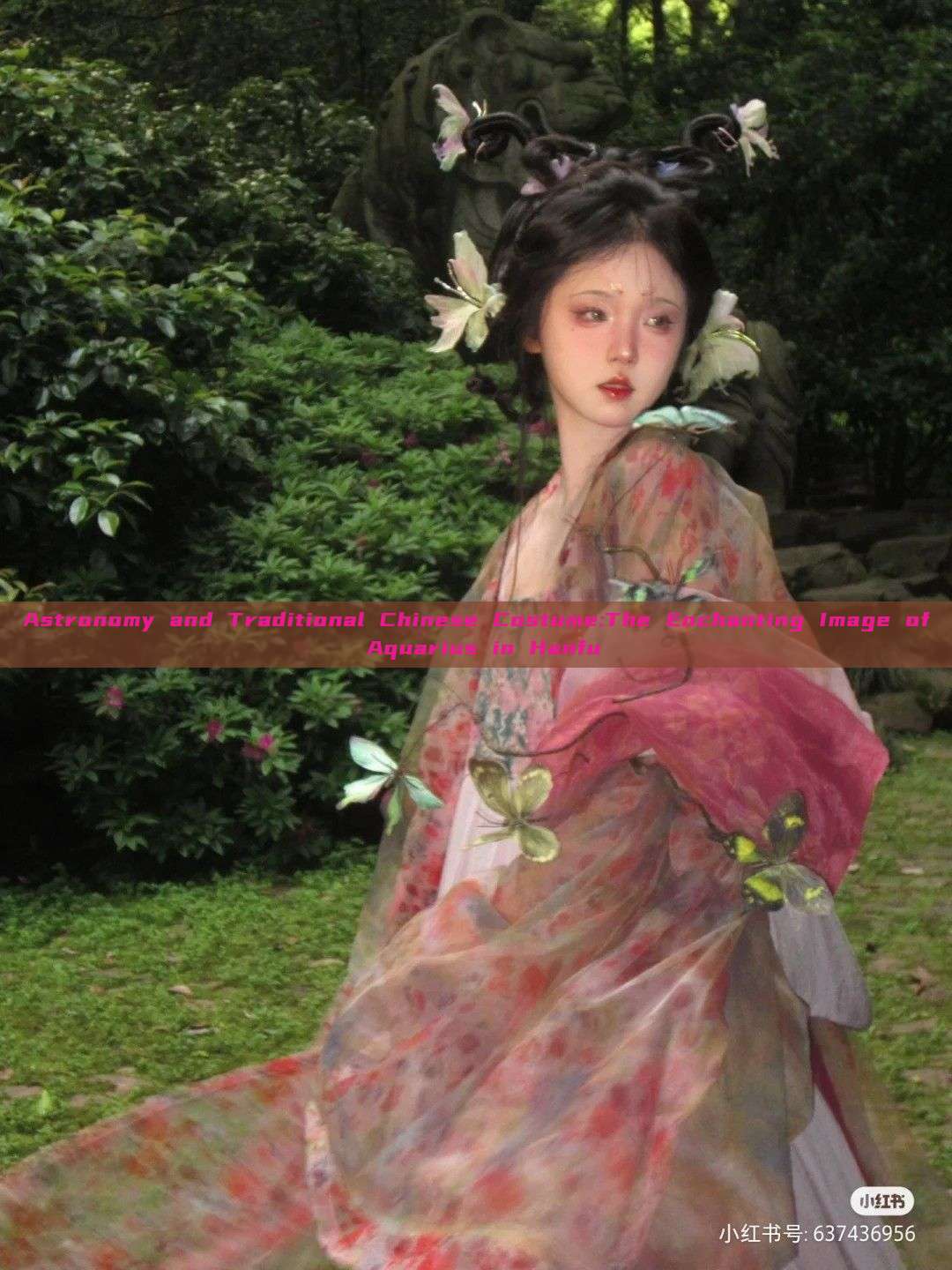 Astronomy and Traditional Chinese Costume:The Enchanting Image of Aquarius in Hanfu