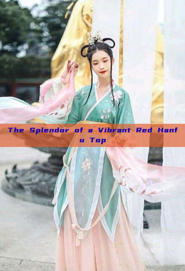 The Splendor of a Vibrant Red Hanfu Top The Splendor of a Vibrant Red Hanfu Top