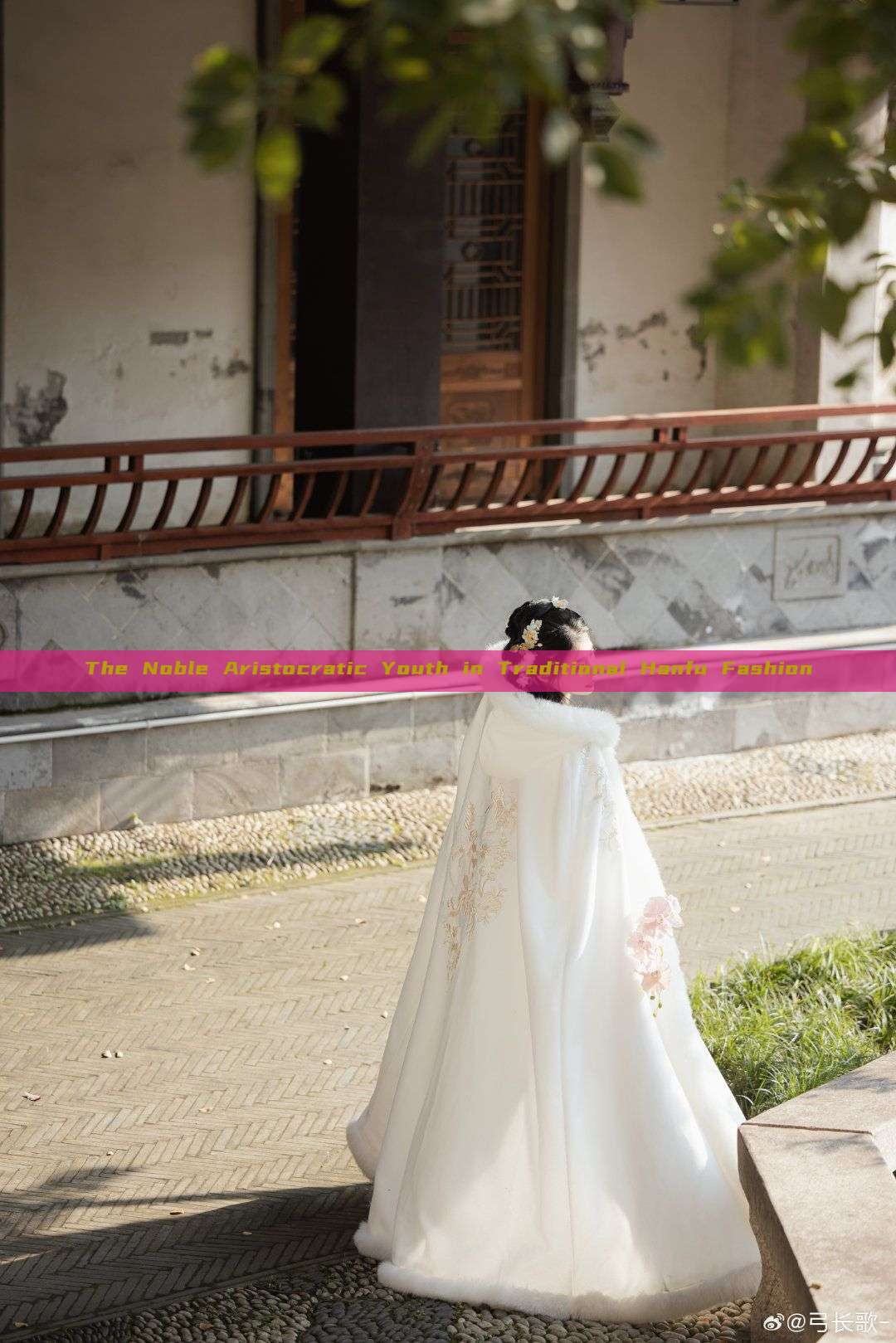 The Noble Aristocratic Youth in Traditional Hanfu Fashion