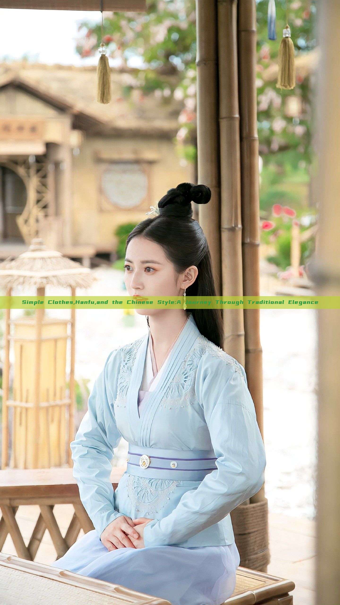 Simple Clothes,Hanfu,and the Chinese Style:A Journey Through Traditional Elegance Simple Clothes,Hanfu,and the Chinese Style:A Journey Through Traditional Elegance