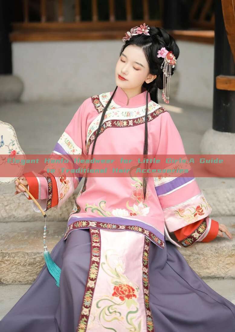Elegant Hanfu Headwear for Little Girls:A Guide to Traditional Hair Accessories