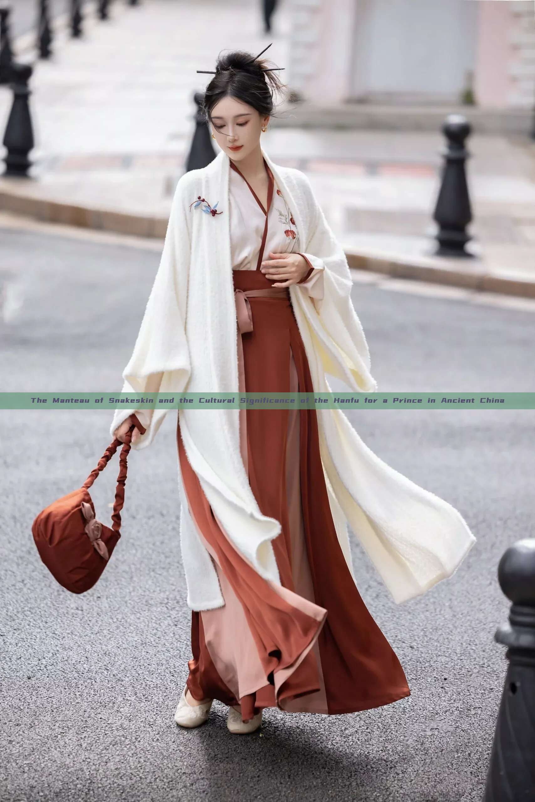 The Manteau of Snakeskin and the Cultural Significance of the Hanfu for a Prince in Ancient China The Manteau of Snakeskin and the Cultural Significance of the Hanfu for a Prince in Ancient China
