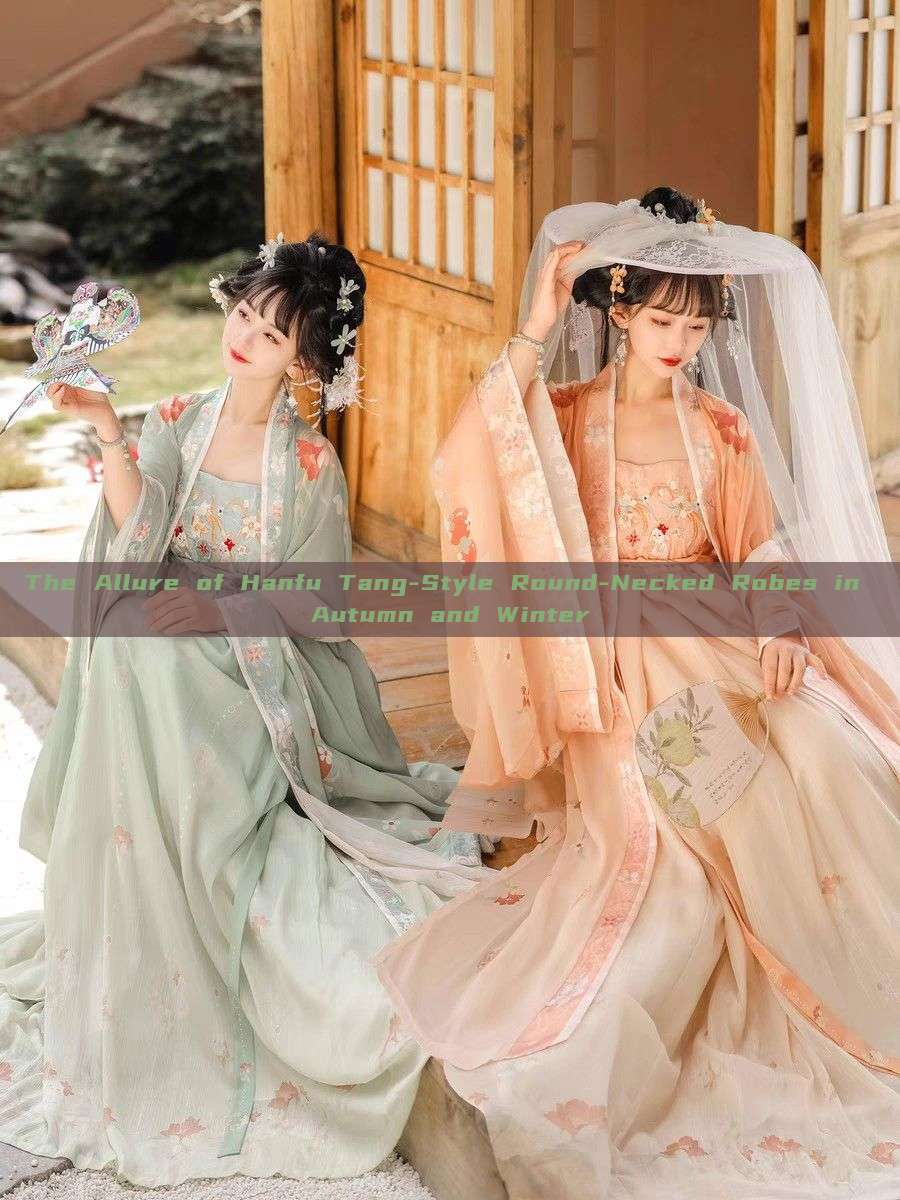 The Allure of Hanfu Tang-Style Round-Necked Robes in Autumn and Winter