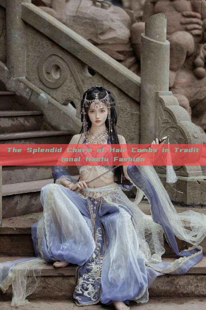 The Splendid Charm of Hair Combs in Traditional Hanfu Fashion