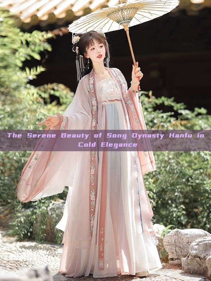 The Serene Beauty of Song Dynasty Hanfu in Cold Elegance The Serene Beauty of Song Dynasty Hanfu in Cold Elegance