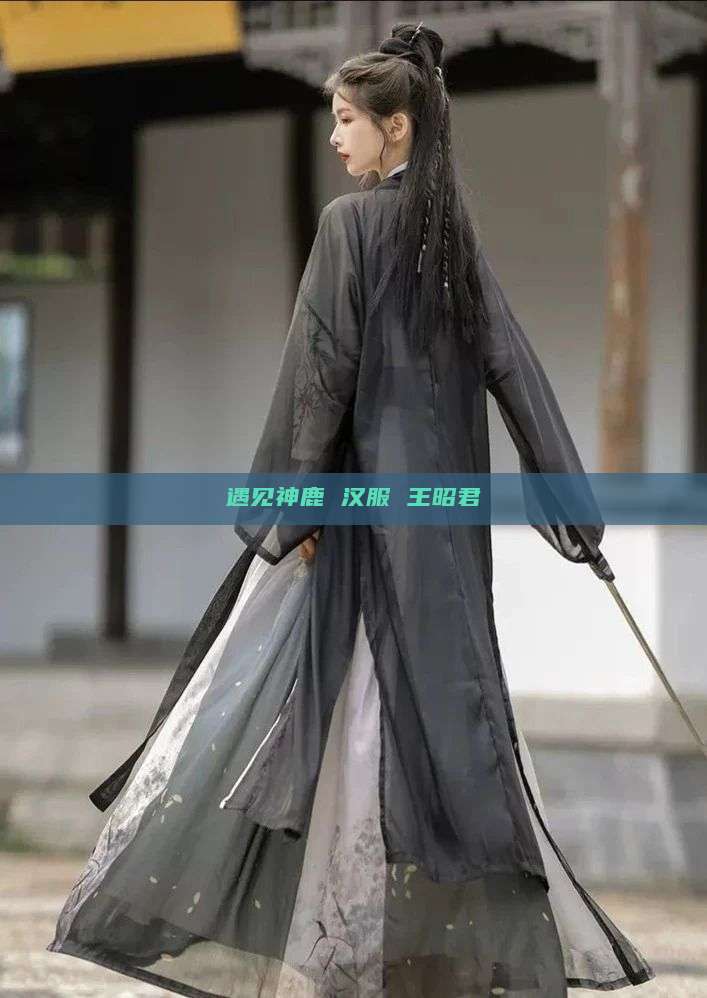 遇见神鹿 汉服 王昭君