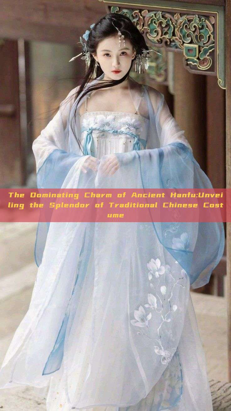 The Dominating Charm of Ancient Hanfu:Unveiling the Splendor of Traditional Chinese Costume The Dominating Charm of Ancient Hanfu:Unveiling the Splendor of Traditional Chinese Costume