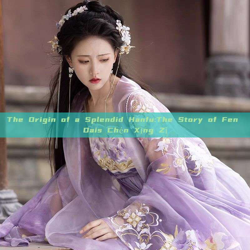 The Origin of a Splendid Hanfu:The Story of Fen Dais Chén Xīng Zǐ The Origin of a Splendid Hanfu:The Story of Fen Dais Chén Xīng Zǐ